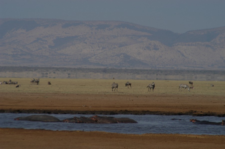 Lake Manyara, Tanzania