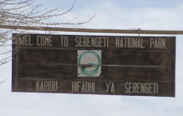 Serengeti, Tanzania