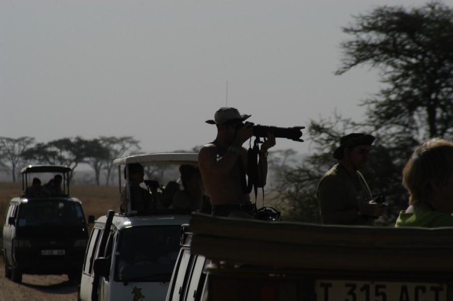 People Watching, Serengeti