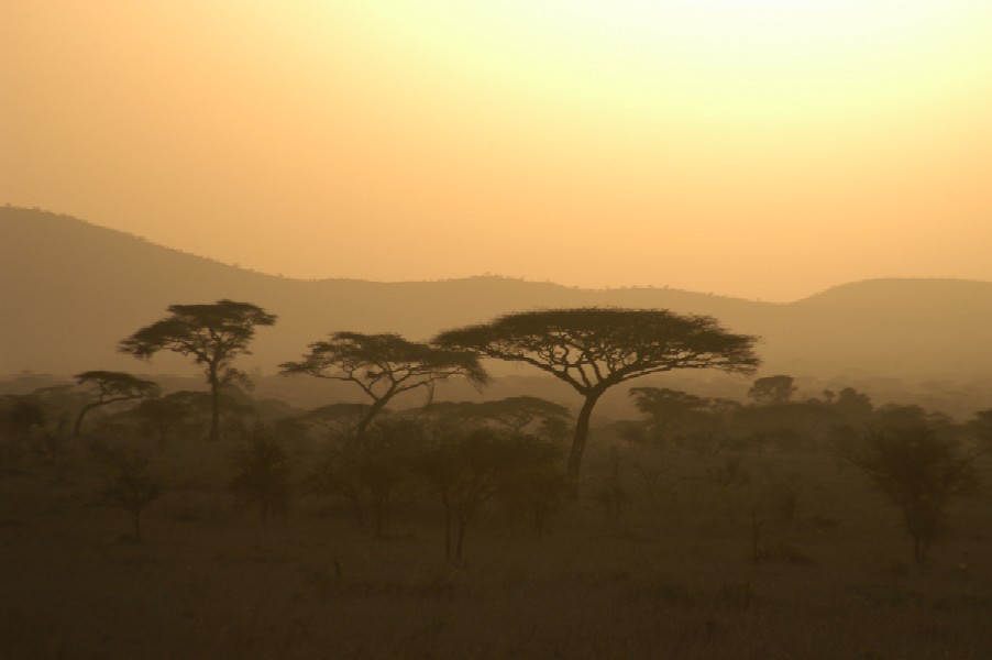 Serengeti National Park