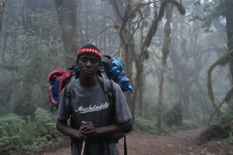 Climbing Kilimanjaro, Tanzania