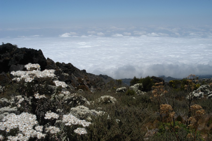 Climbing Kilimanjaro, Tanzania