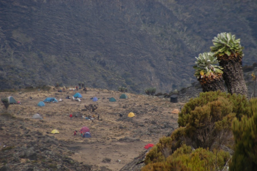 Climbing Kilimanjaro