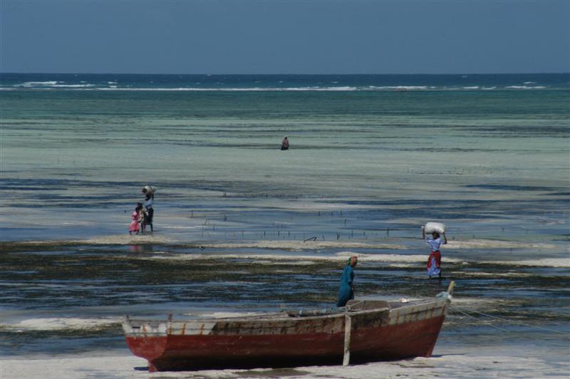 Paje, Zanzibar, Tanzania