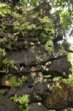 0384_kosrae_lelu_ruins
