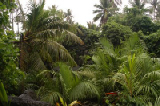 0386_kosrae_lelu_ruins