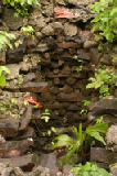0391_kosrae_lelu_ruins