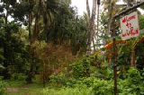 0393_kosrae_lelu_ruins