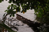 0396_kosrae_outrigger_canoe