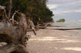 0424_kosrae_village_resort