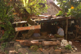 0442_pohnpei_kapingamarangi