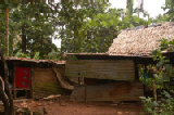 0451_pohnpei_kapingamarangi