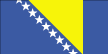 Bosnian Flag