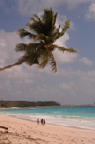 0141_marshall_islands_woja