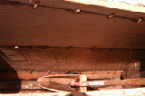 0161_marshall_islands_breadfruit_canoe