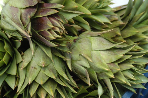 Artichokes, Crete