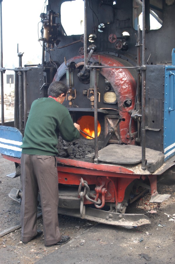 Toy Train, Darjeeling, India