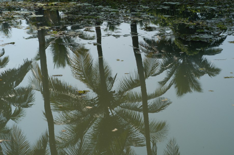 Backwaters, Kerela, India