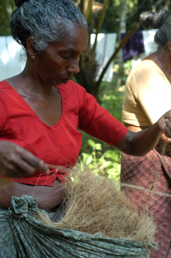 Backwaters, Kerela, India