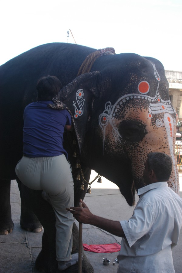 Kanchipuram, Tamil Nadu, India