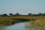 15195_okavango_delta_botswana