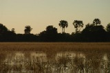 15200_okavango_delta_botswana