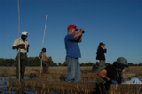 15223_okavango_delta_botswana