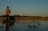 15230_okavango_delta_botswana