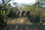 15244_okavango_delta_botswana