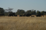 15256_okavango_delta_botswana