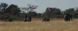 15257_okavango_delta_botswana