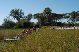 15267_okavango_delta_botswana