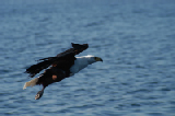 15276_okavango_delta_botswana