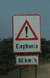 15288_caprivistrip_namibia