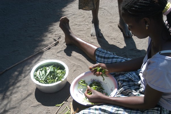 Village Walk, Lake Malawi