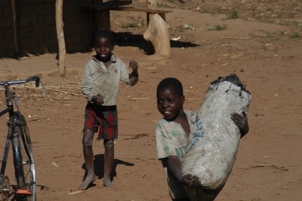 Getting Charcoal, Malawi