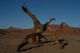 14559_sossuvlei_namibia