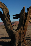 14562_sossuvlei_namibia