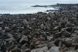 14744_capecross_namibia