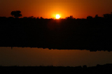 14820_etosha_namibia