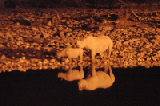 14887_etosha_namibia