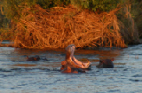 15586_zambizi_river_zimbabwe