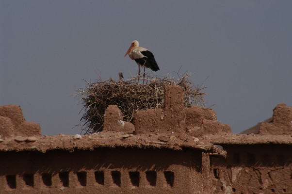 Ait Benhaddou, Morocco